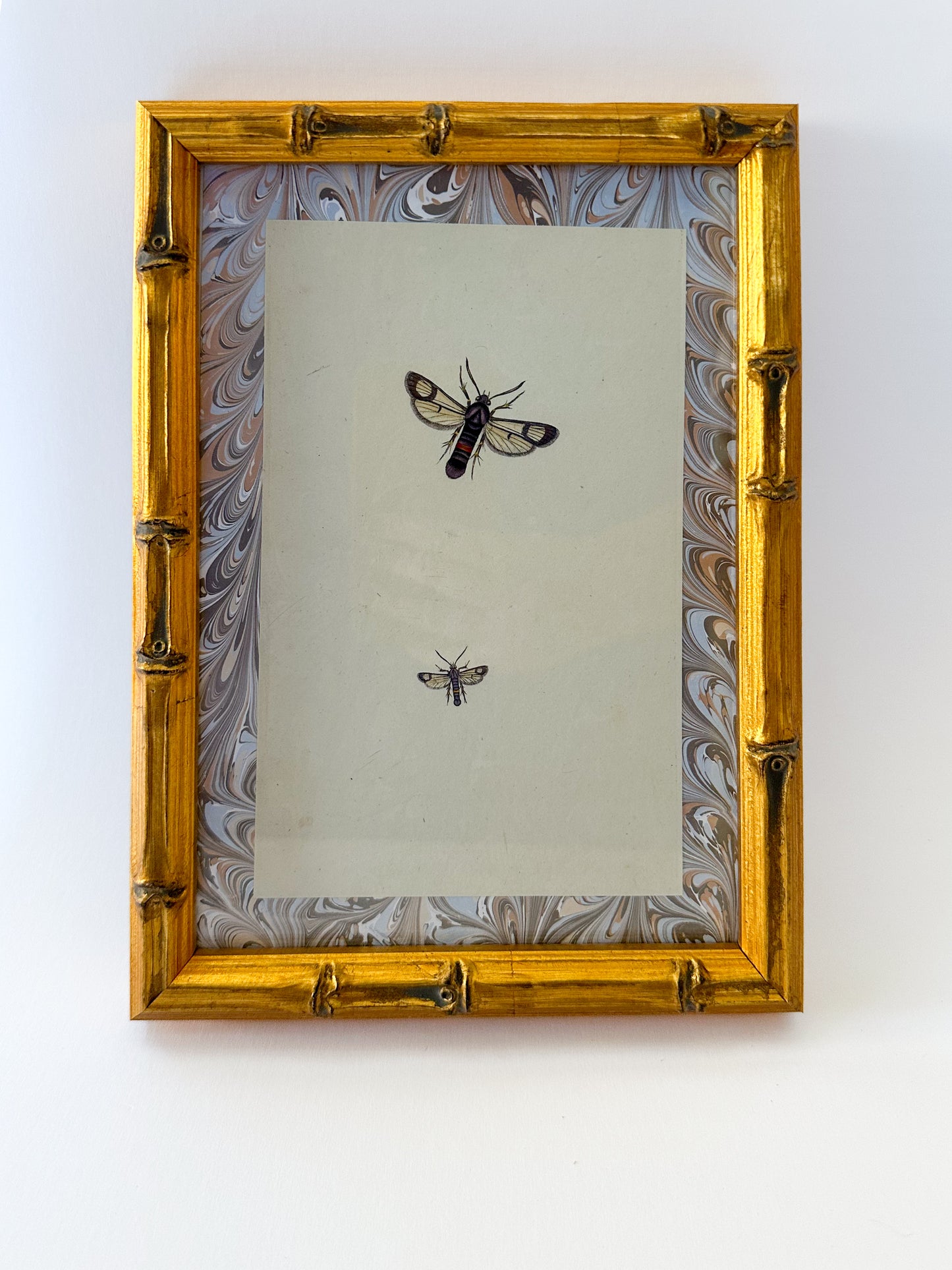 Busy Bugs: Print on Original Marble Artwork