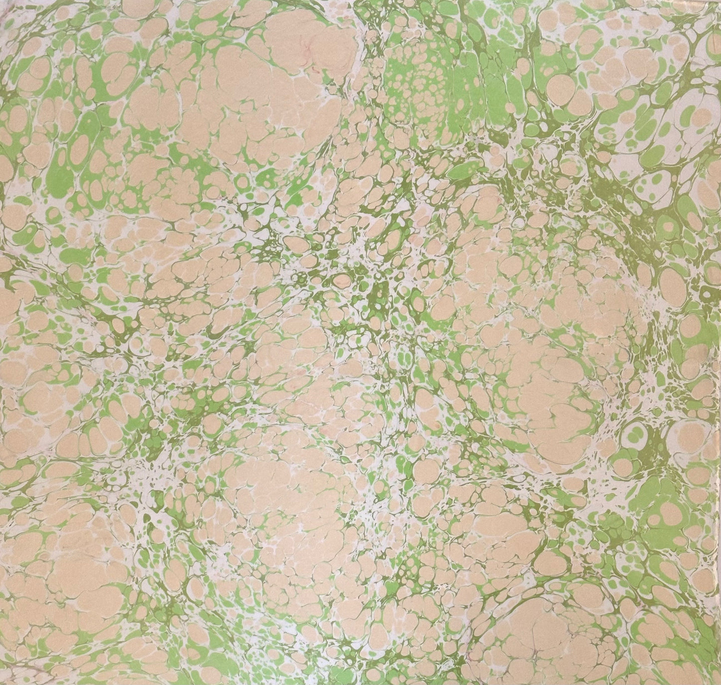 Silk Scarf