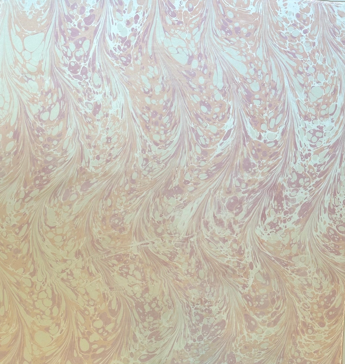 Silk Scarf
