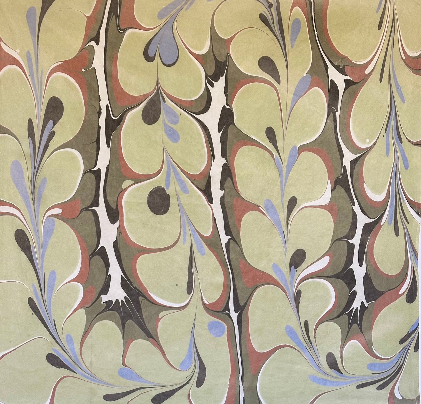 Silk Scarf