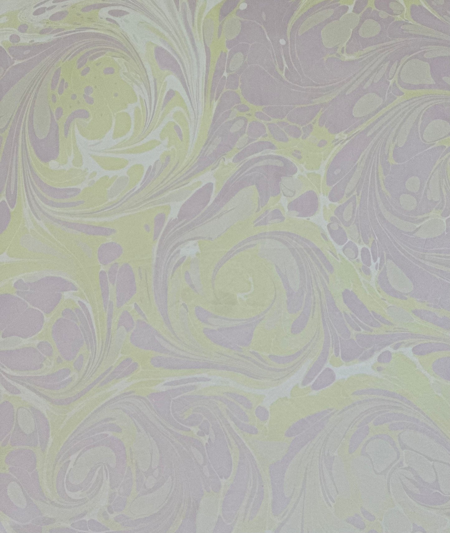 Silk Scarf 21"x21"