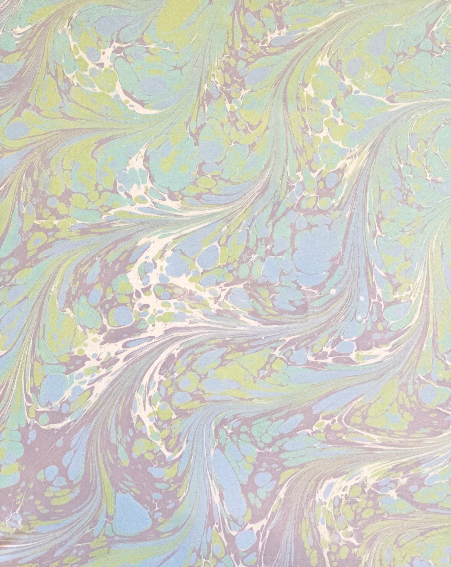 Silk Scarf 21"x21"