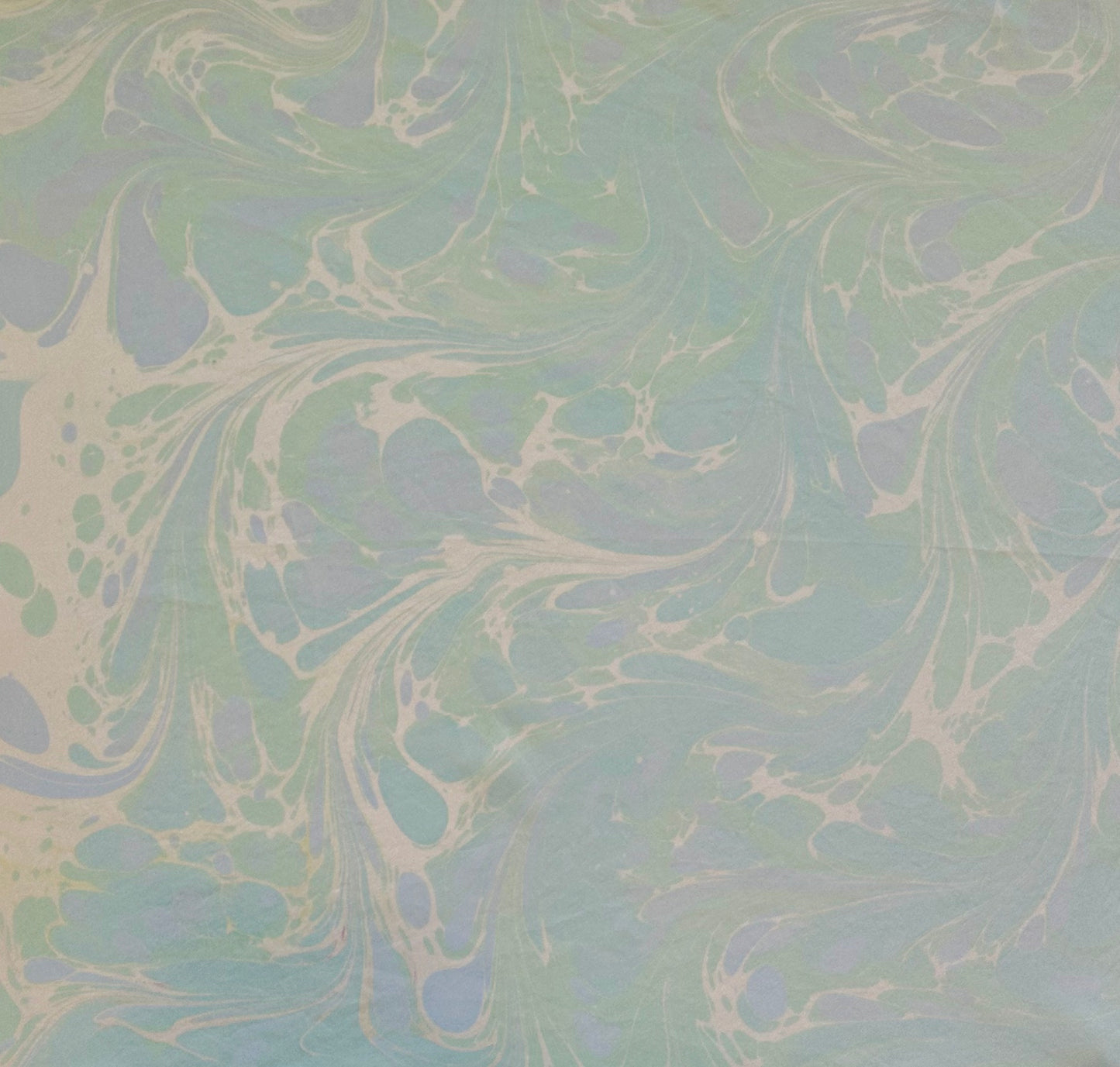 Silk Scarf 21"x21"
