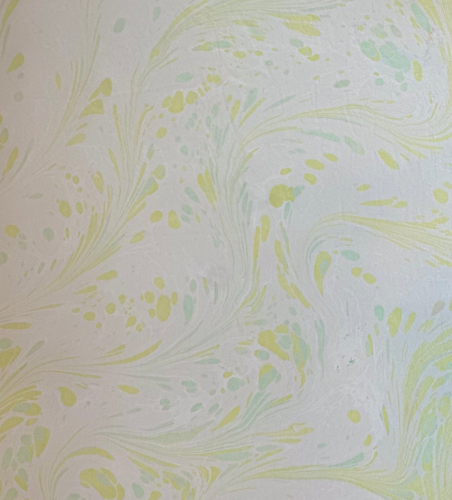 Silk Scarf 21"x21"