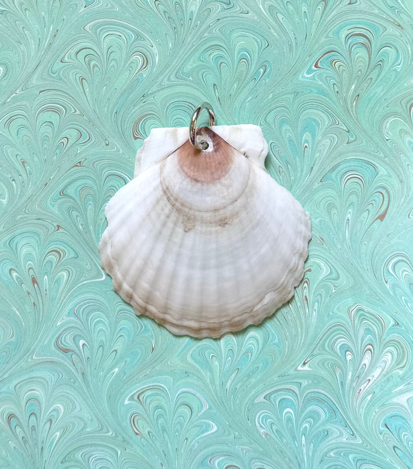 Shell Charm