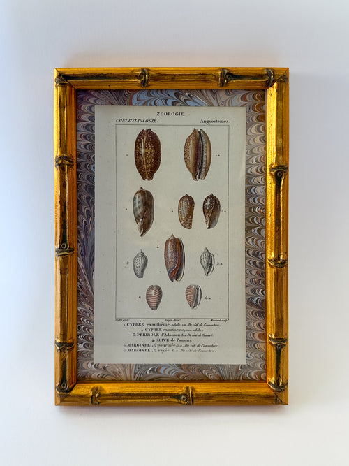 Sea Of The Shells in Neutral: Print on Original Marble Artwork