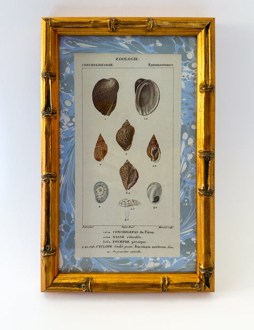 Sea Of The Shells in Blue: Print on Original Marble Artwork