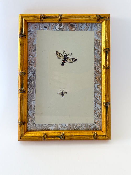 Busy Bugs: Print on Original Marble Artwork