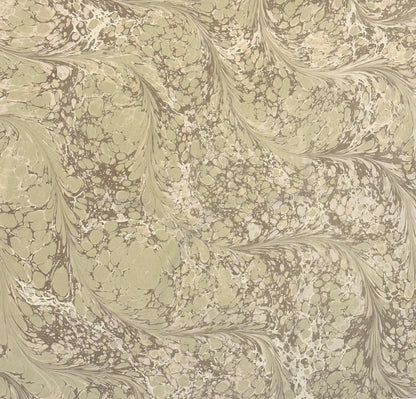 Silk Scarf