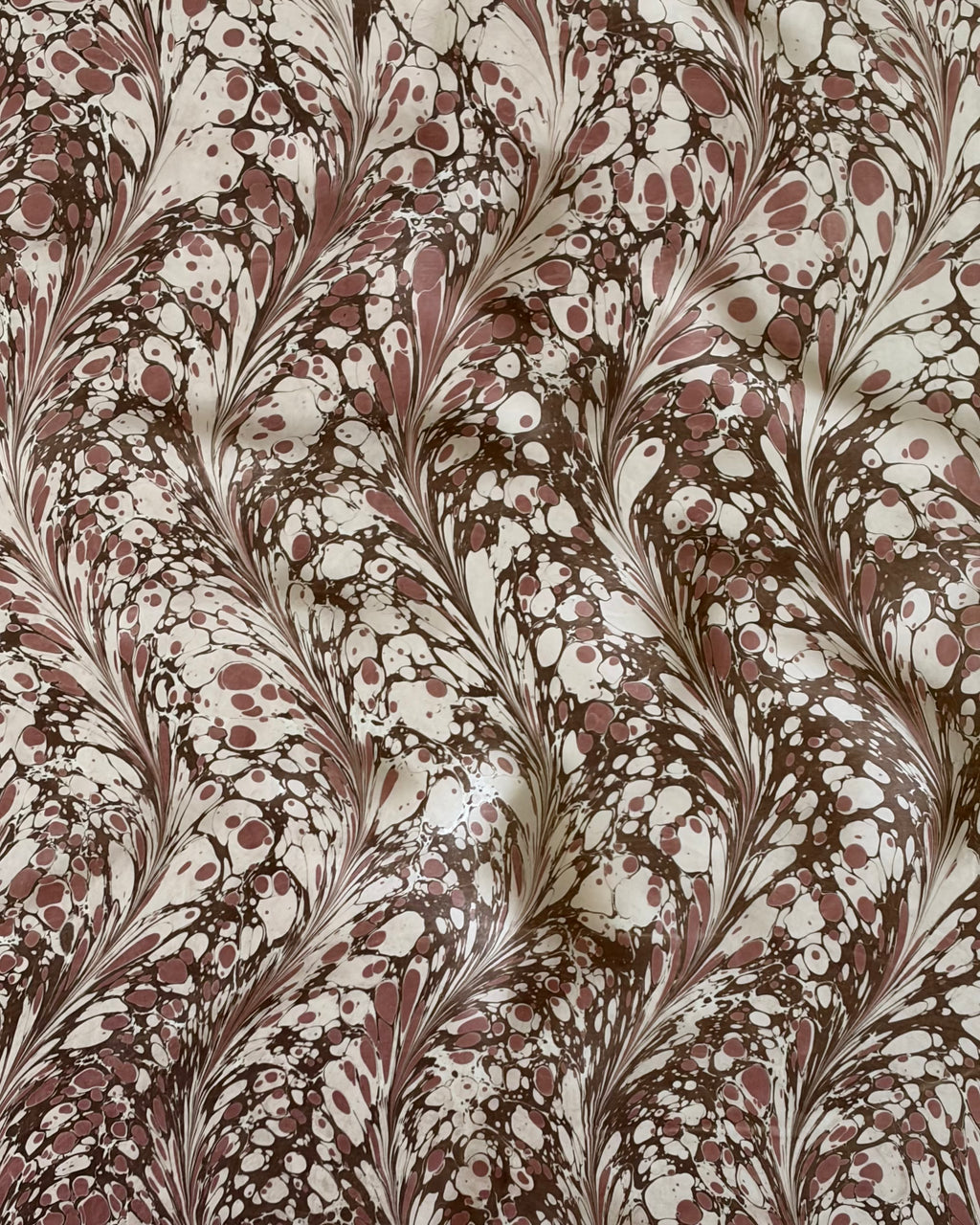 The Stella