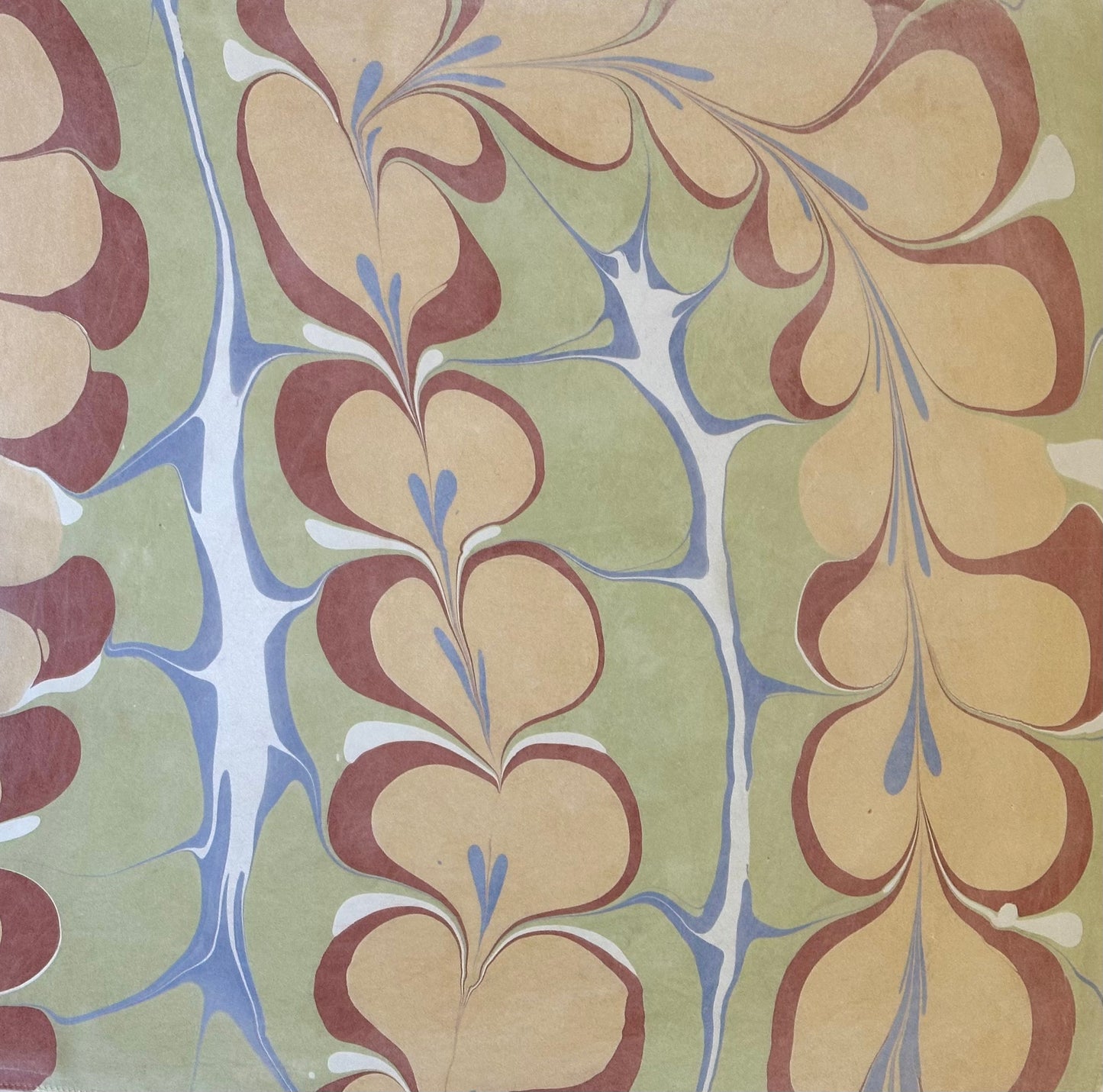 Silk Scarf