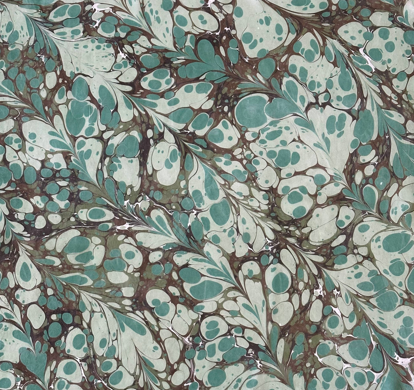 Silk Scarf