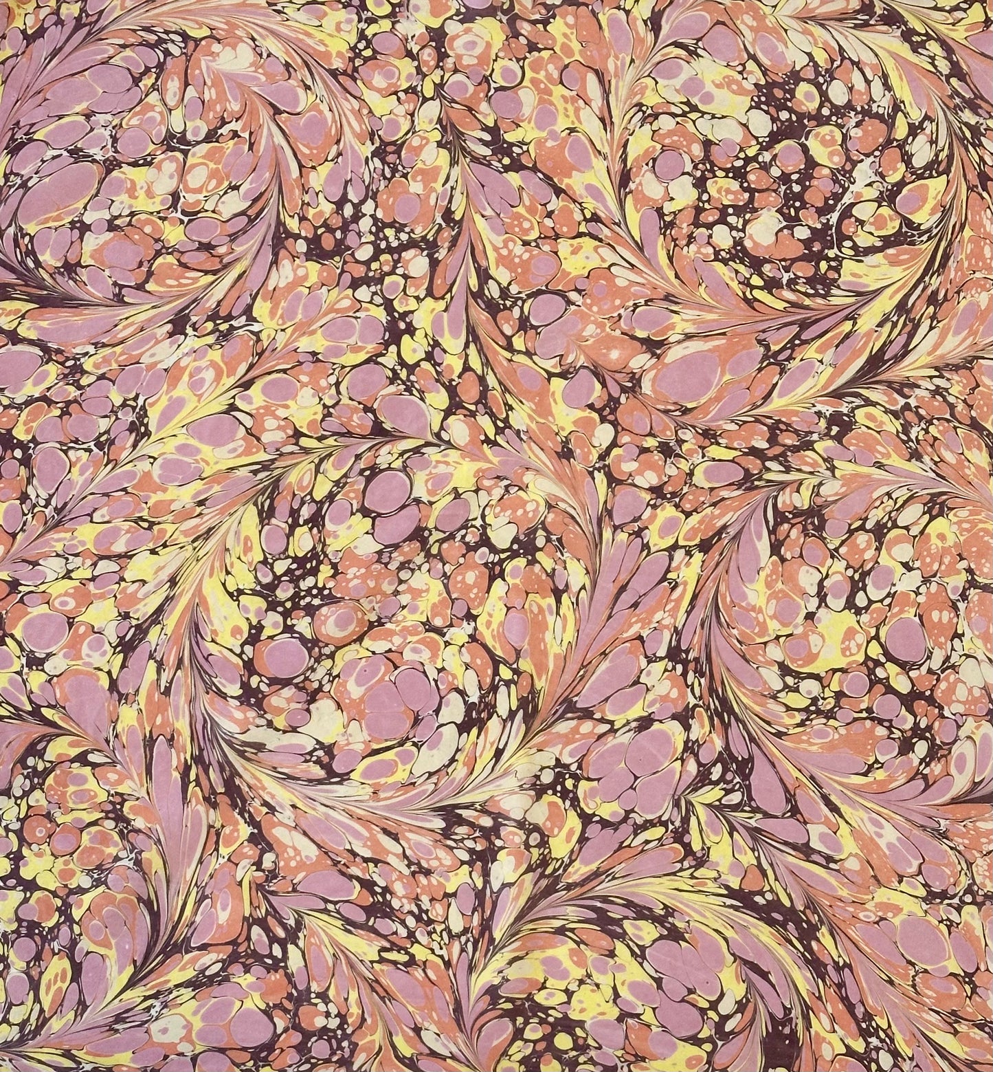 Silk Scarf