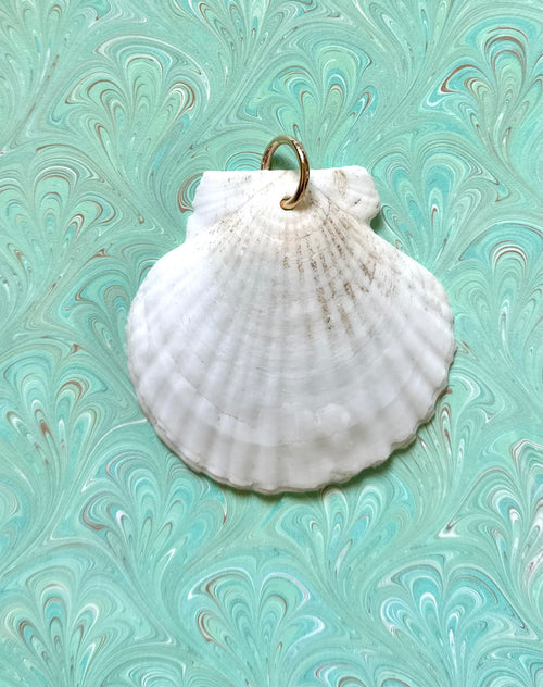 Shell Charm
